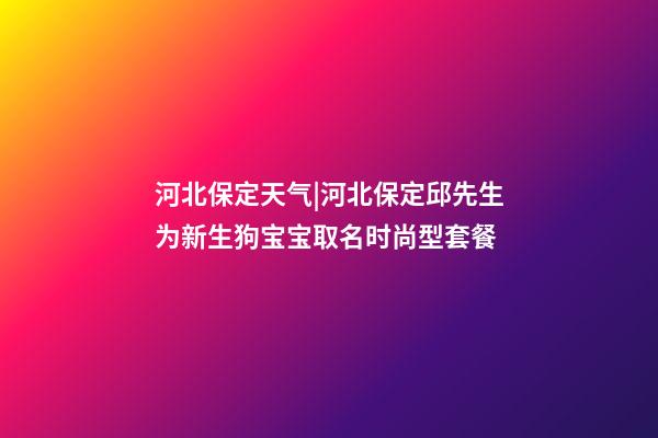 河北保定天气|河北保定邱先生为新生狗宝宝取名时尚型套餐-第1张-公司起名-玄机派
